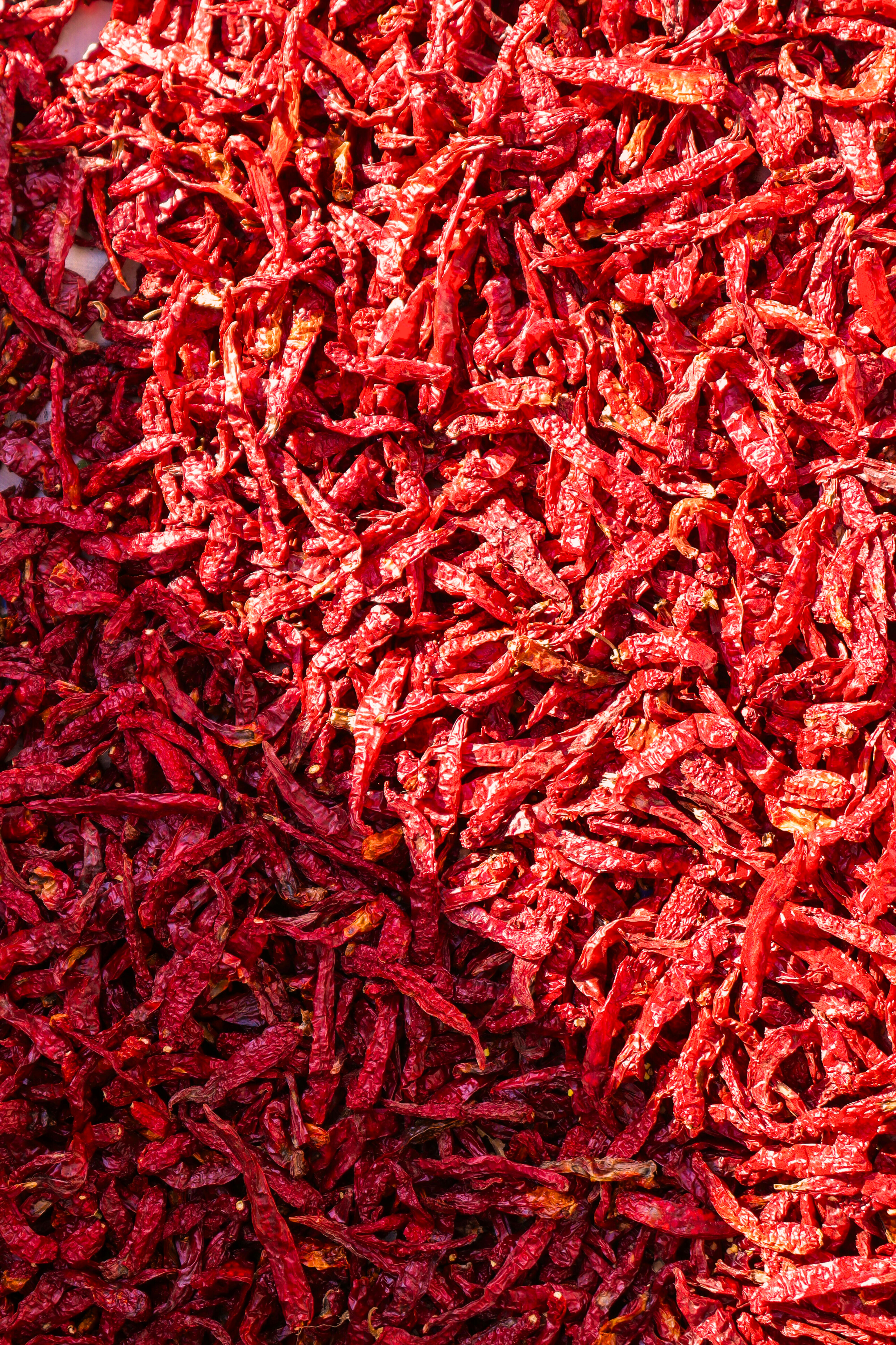 Dry Red Chillies